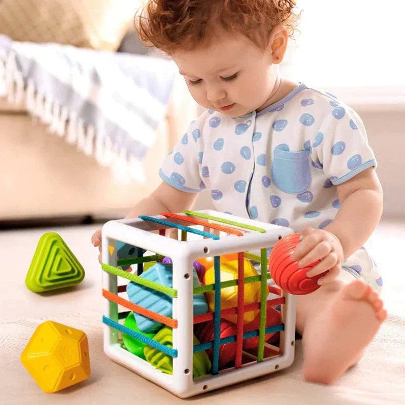 LuvRoxy Box - Educational Box