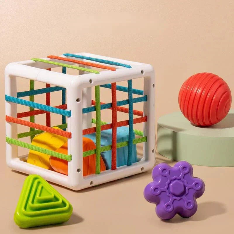 LuvRoxy Box - Educational Box