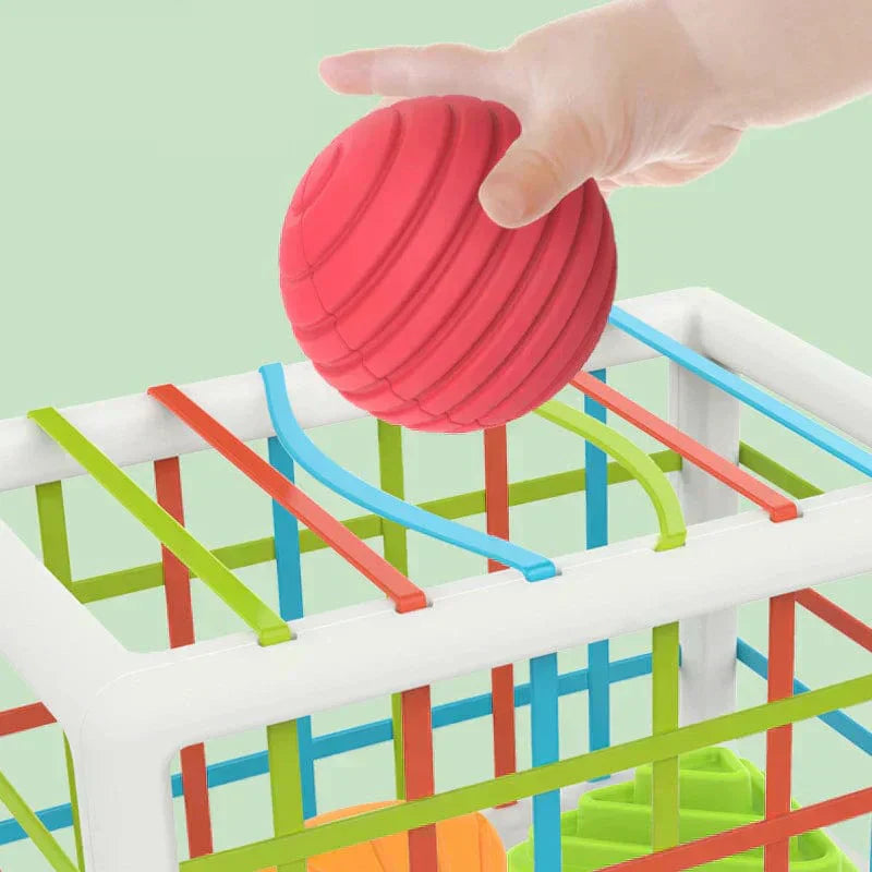 LuvRoxy Box - Educational Box