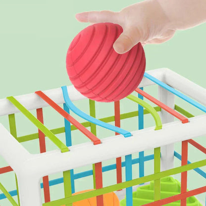 LuvRoxy Box - Educational Box