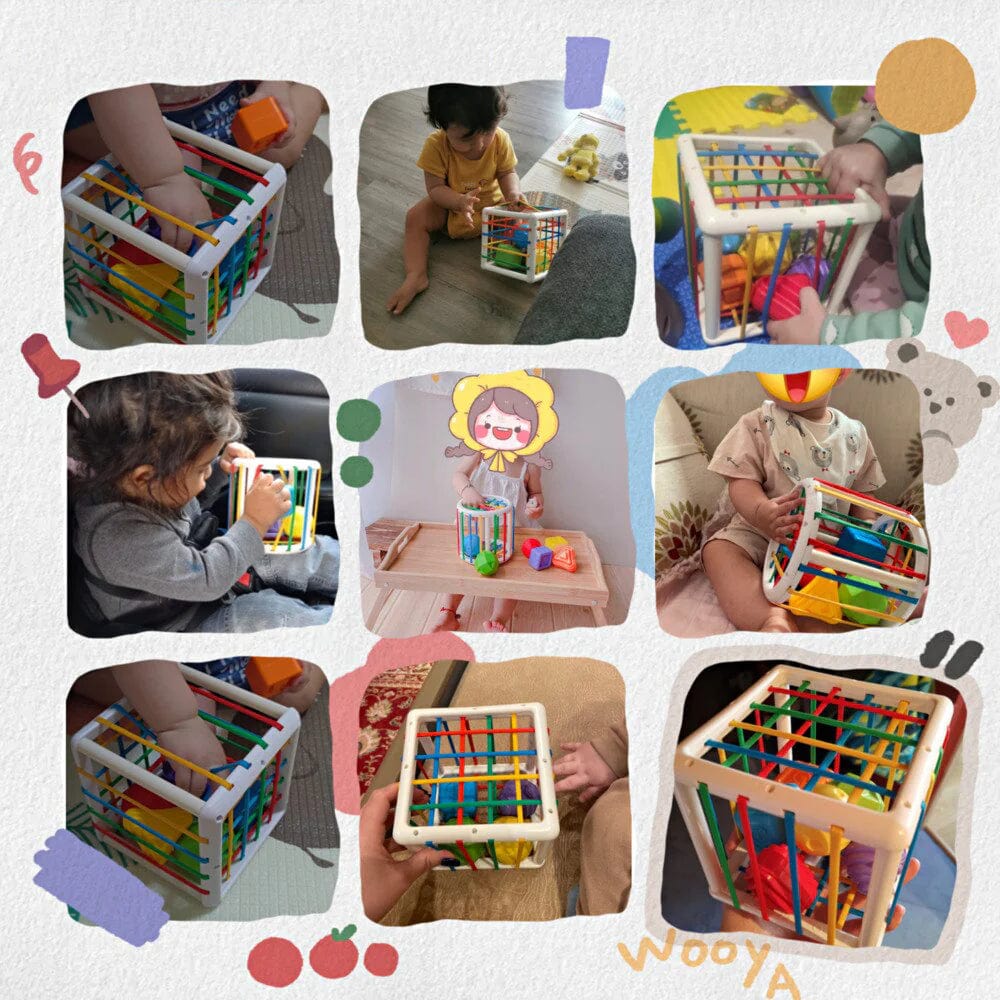 LuvRoxy Box - Educational Box